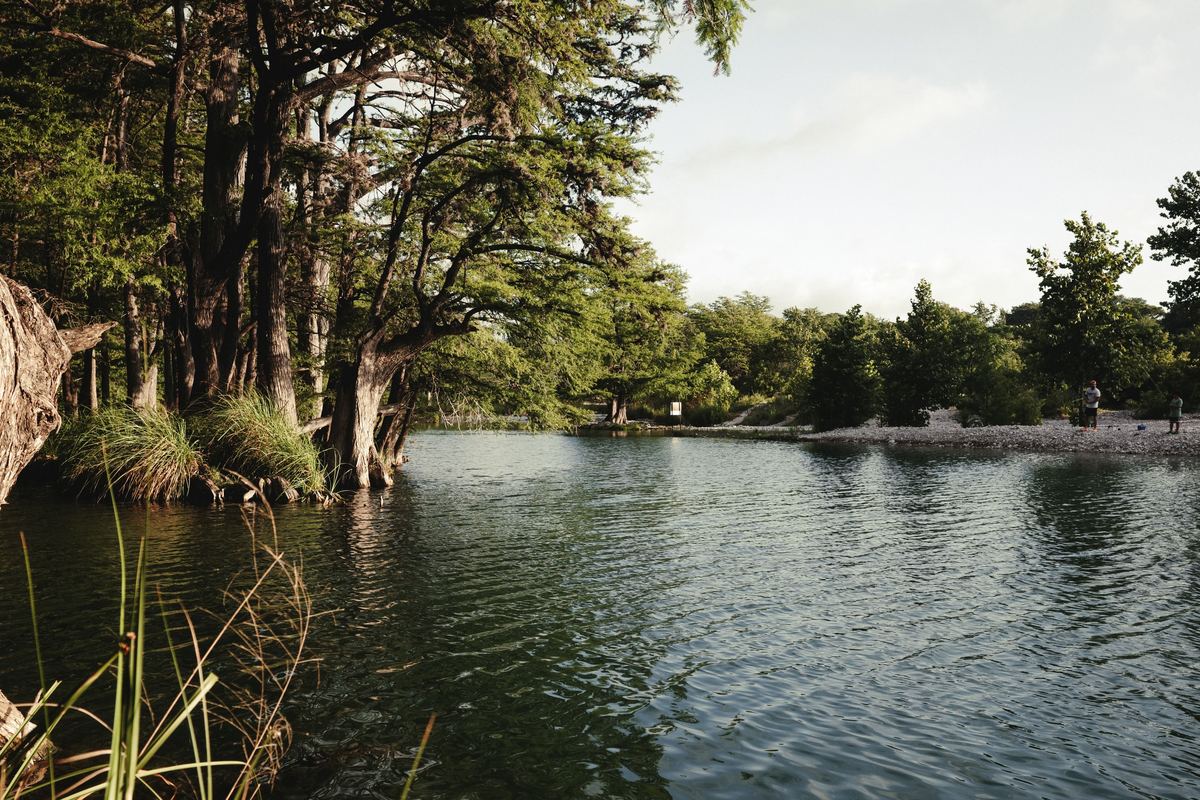 Cypress trees along a calm green Texas river in morning light