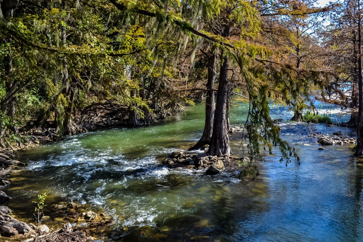 Turquoise Texas river running between cypress trees